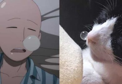 The Cat Who Came Straight From a Manga