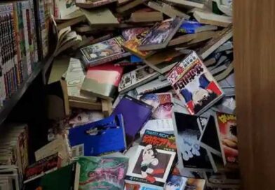 Manga Collection Destroys Otaku Bookshelf