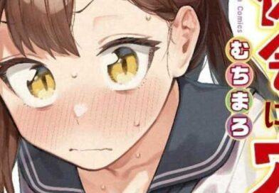 Unrealistic Illustration Controversy receives Cosplay and manga Seitokai nimo ana wa aru wins Reprint