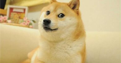 Japan has Meme Doge statue