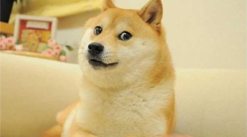 Japan has Meme Doge statue