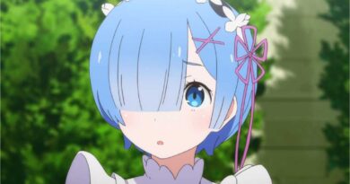 ReZero has countless Rem figures in countless styles that catch the attention of fans