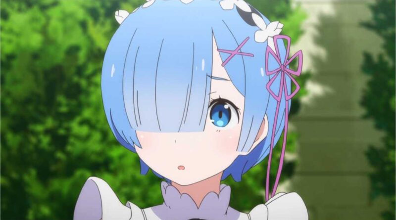 ReZero has countless Rem figures in countless styles that catch the attention of fans