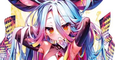 No Game No Life Author Denies Season 2 Rumor