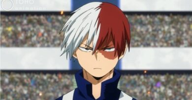 Shoto Todoroki Doll Moves a Girl with a Birthmark