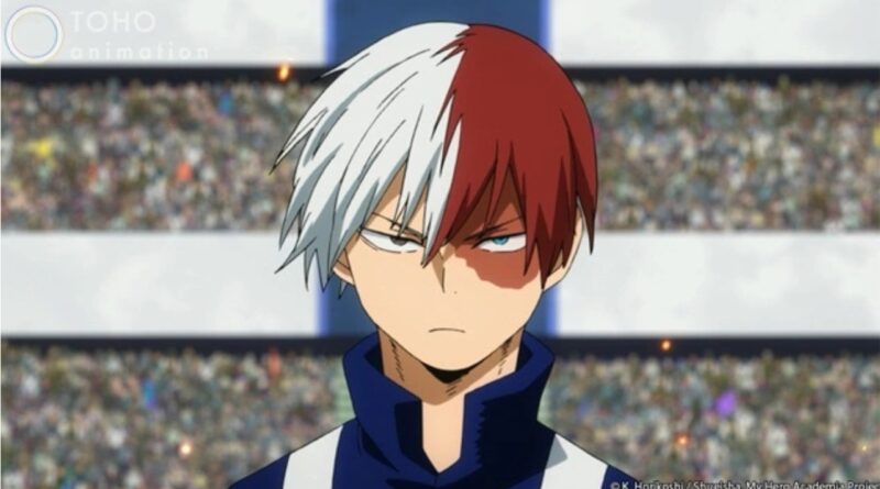 Shoto Todoroki Doll Moves a Girl with a Birthmark