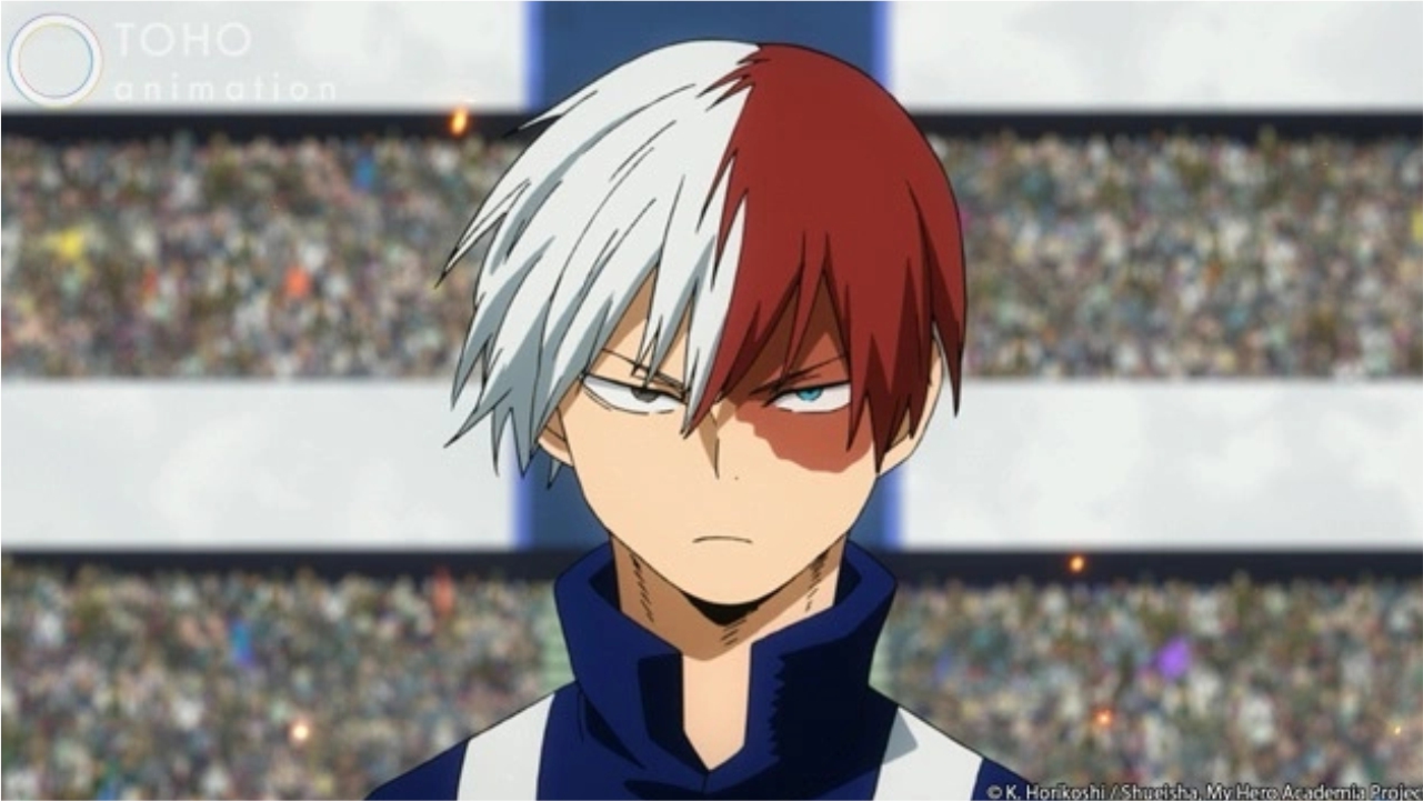 Shoto Todoroki Doll Moves a Girl with a Birthmark