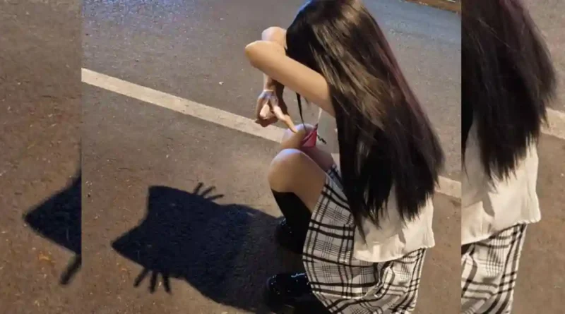 The Internet Falls in Love with the Cat Shadow Meme
