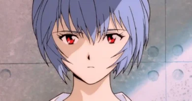Voice Actress Megumi Hayashibara Sparks Controversy with Blog Post