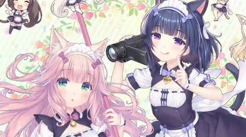 Nekopara After Steam Release Delayed as Sekai Project Awaits Valve Approval for Over 40 Days