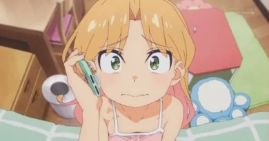 Regulate Anime and Games